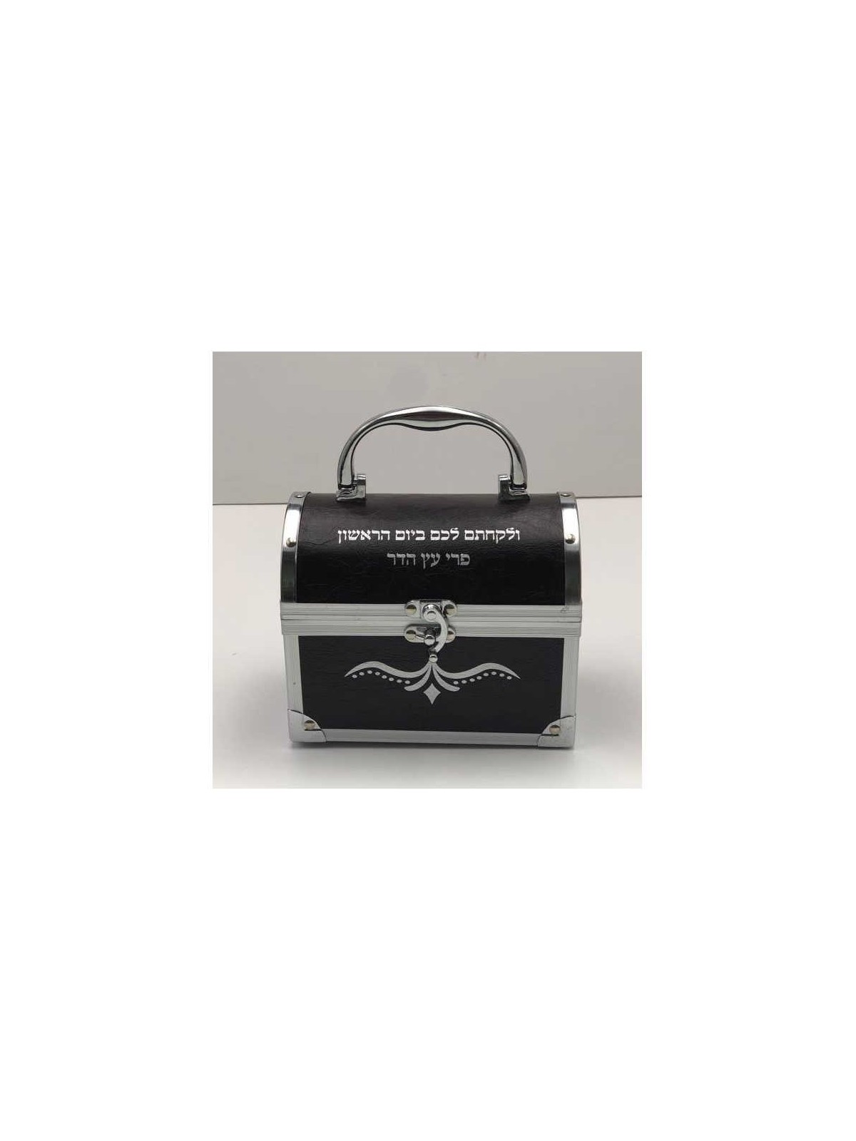 Hard Treasure Chest Etrog Box | Sukkot | Judaica
